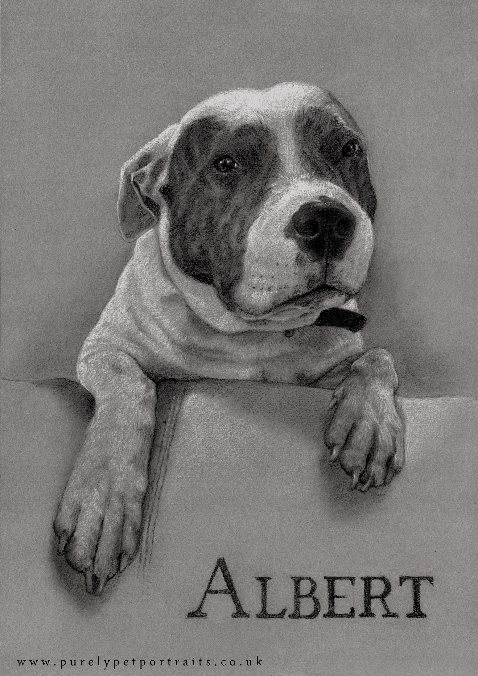 Portrait of Albert