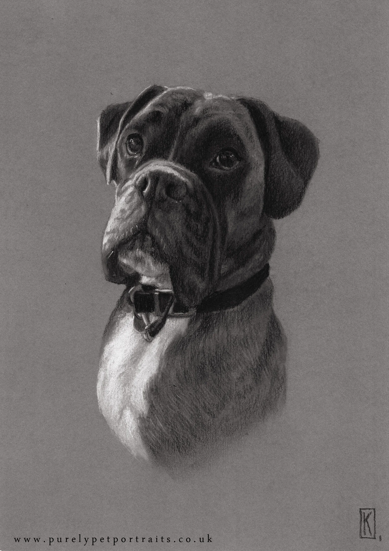 Portrait of Andy