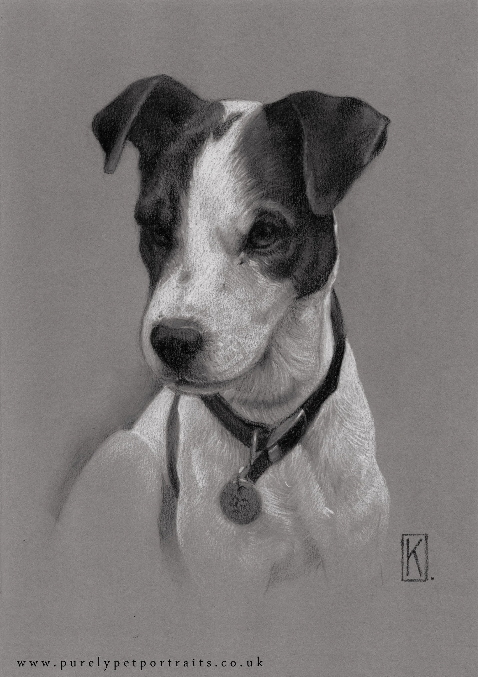 Portrait of Badger