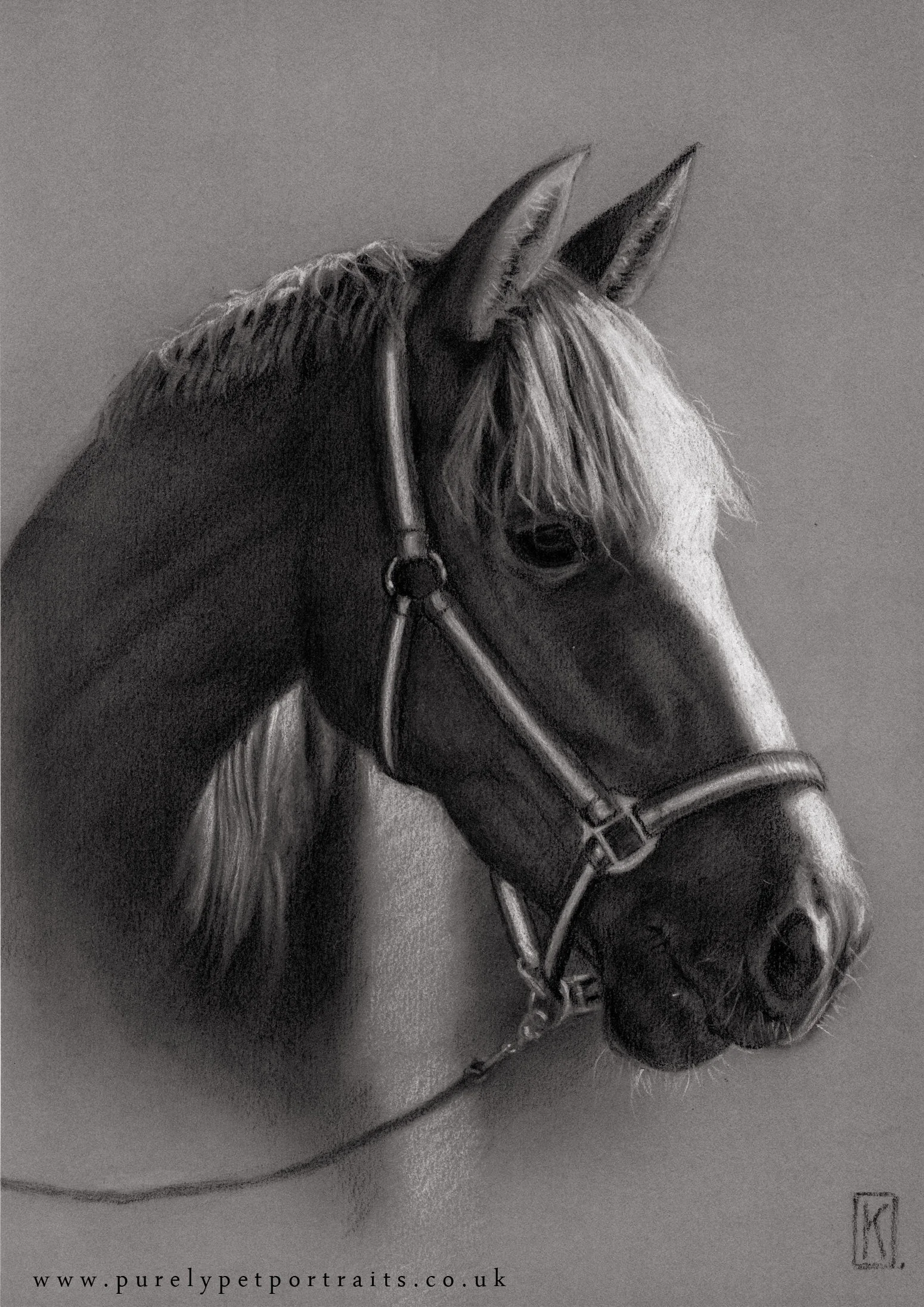 Portrait of Viva