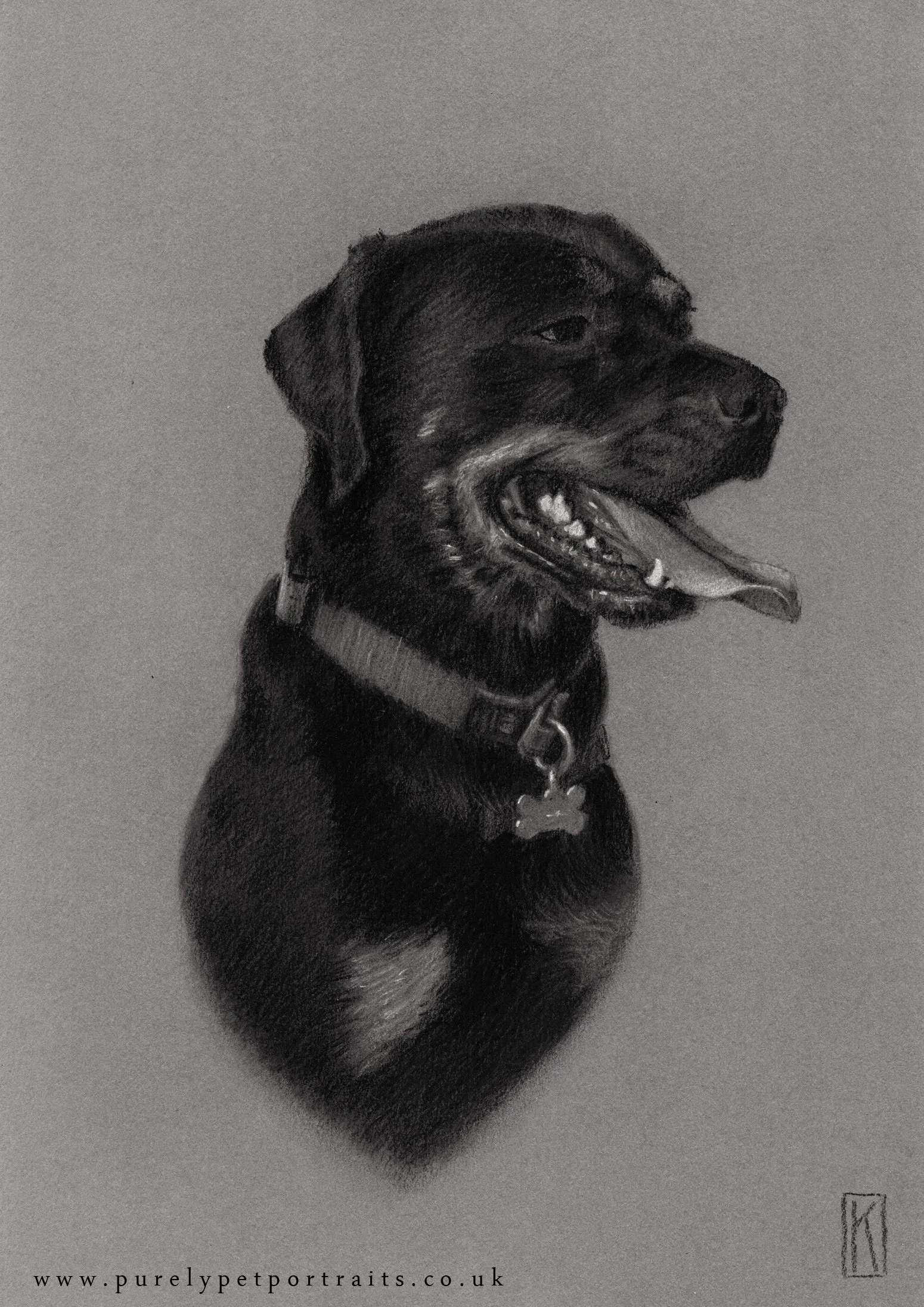 Portrait of Bella