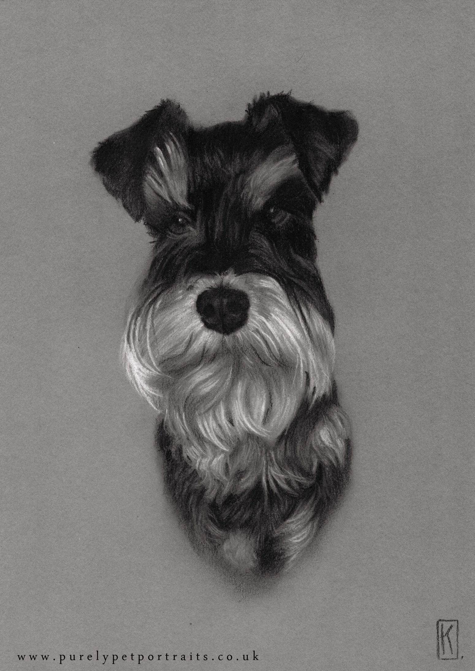 Portrait of Buddy
