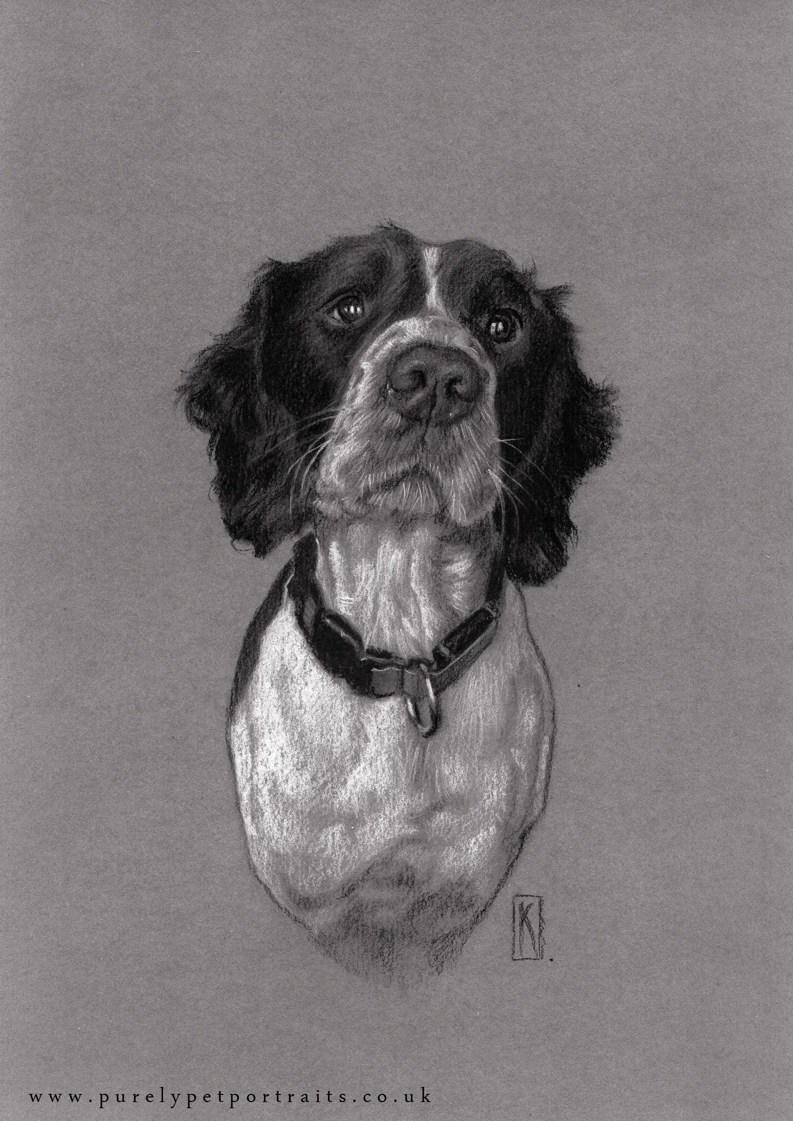 Portrait of Chester