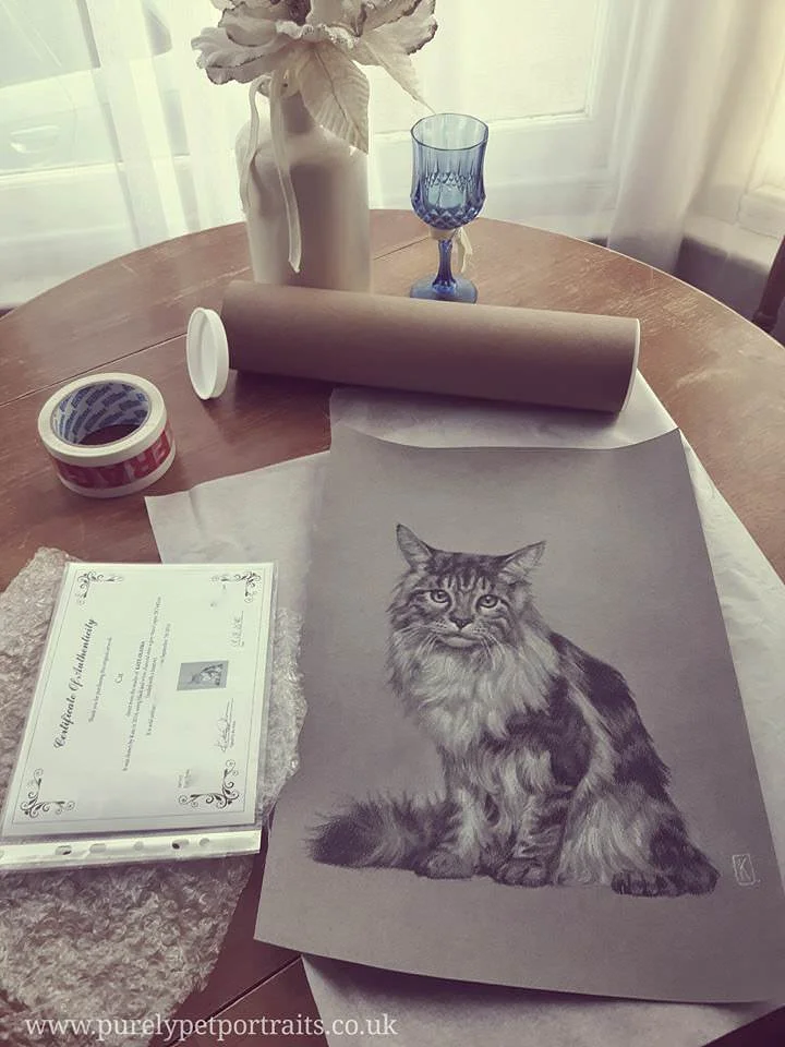 cat-packaging.jpg