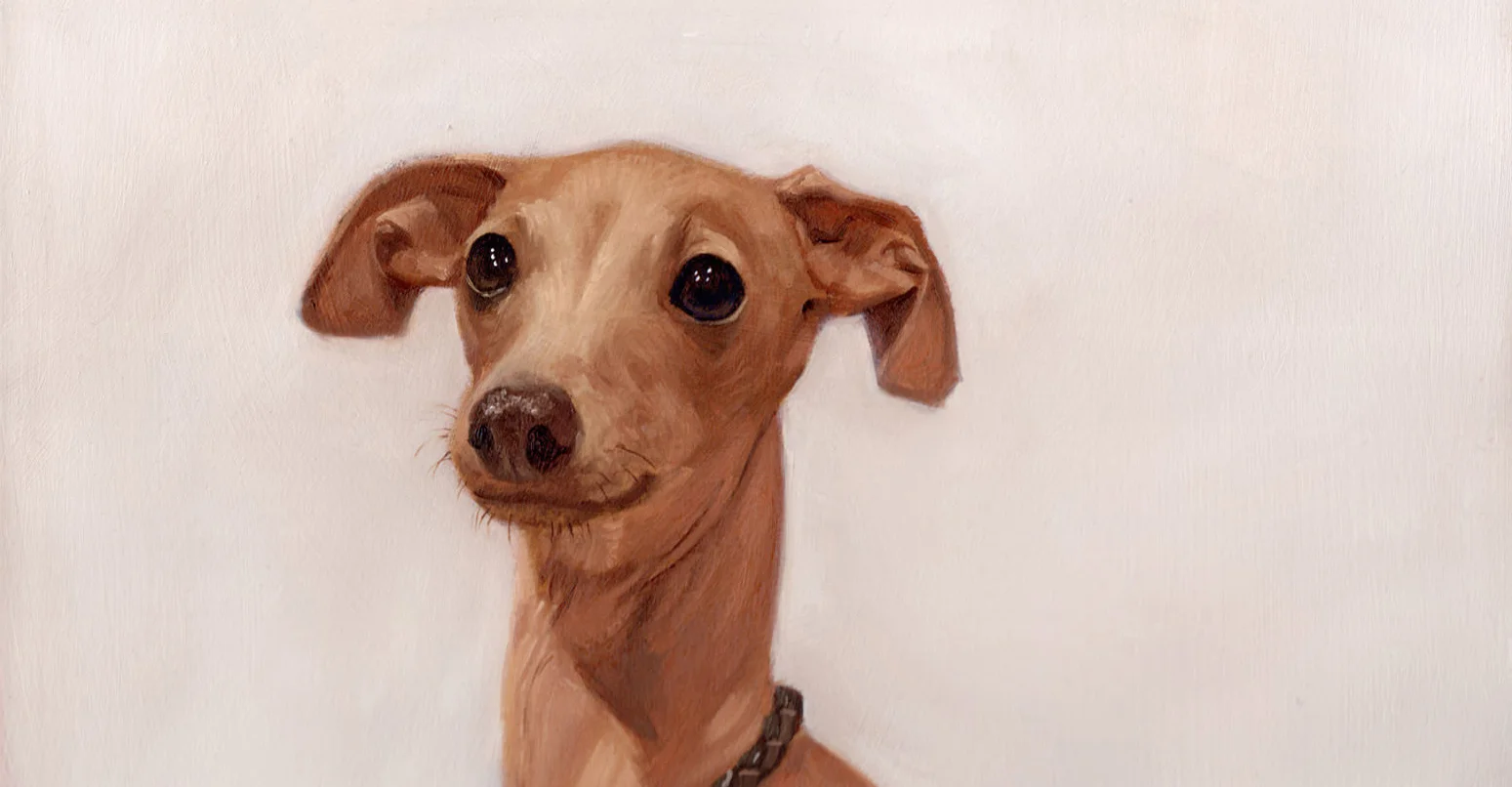 nutmeg-dog-parallax.jpg