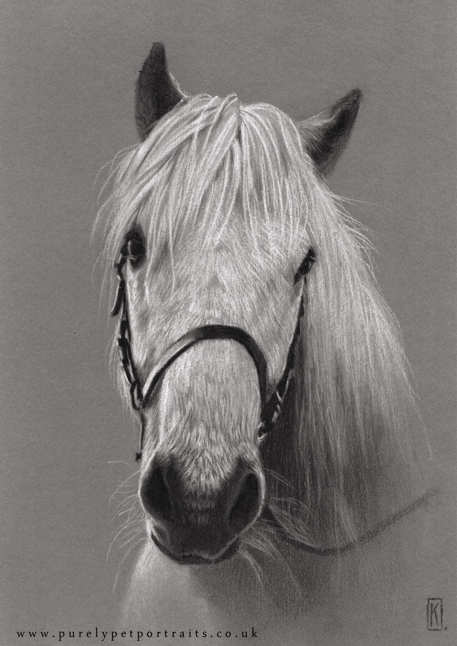 horse_mini.jpg