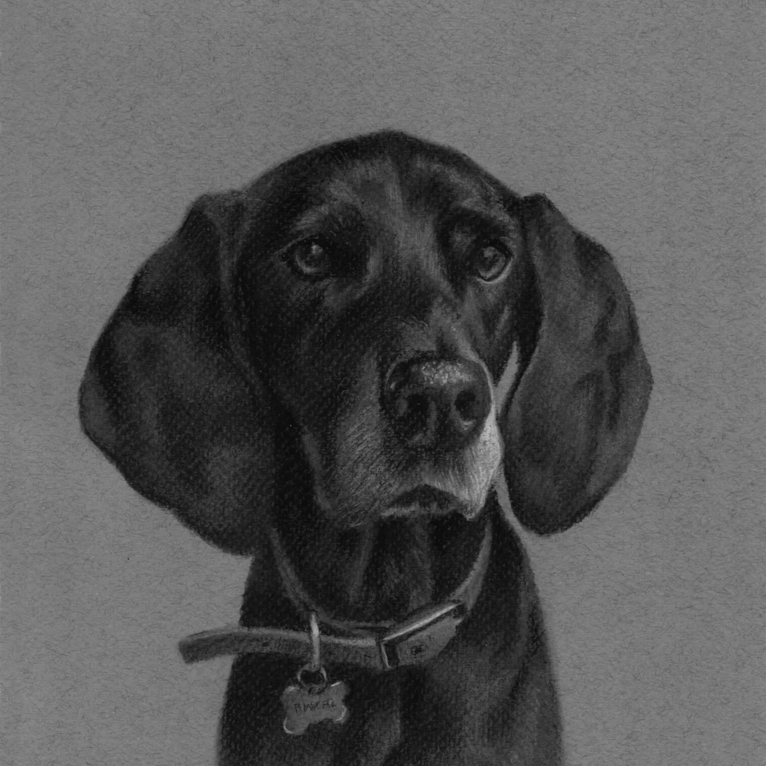 Say hello to Binker!