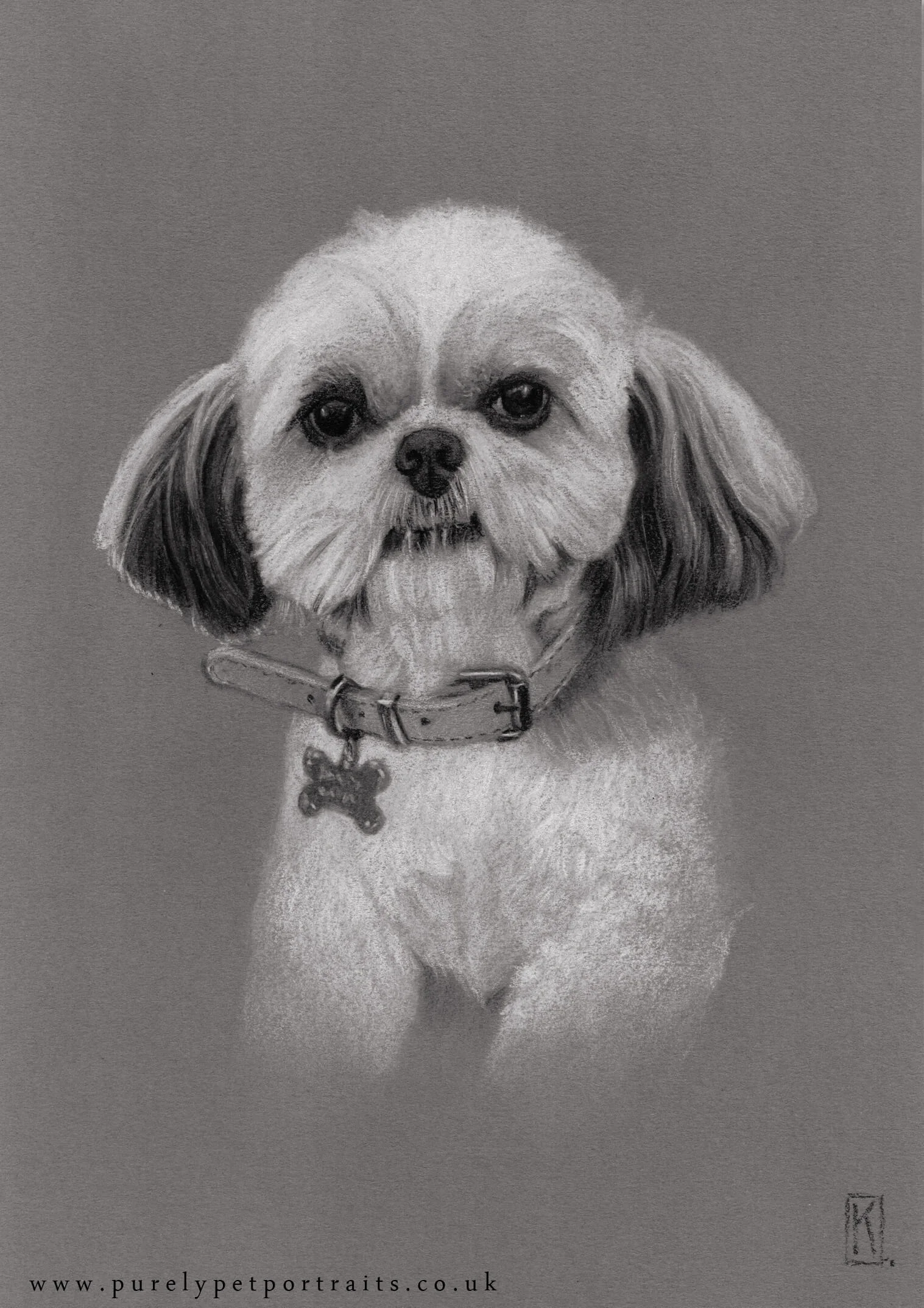 Portrait of Honey by www.purelypetportraits.co.uk
