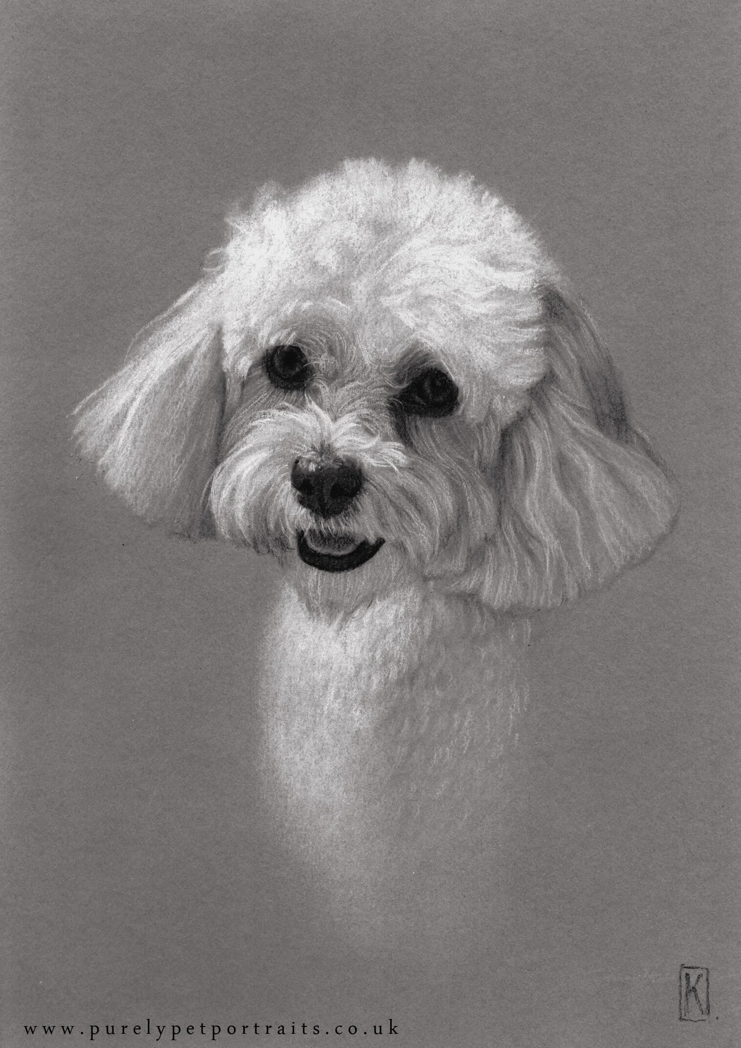 Portrait of Cookie by www.purelypetportraits.co.uk
