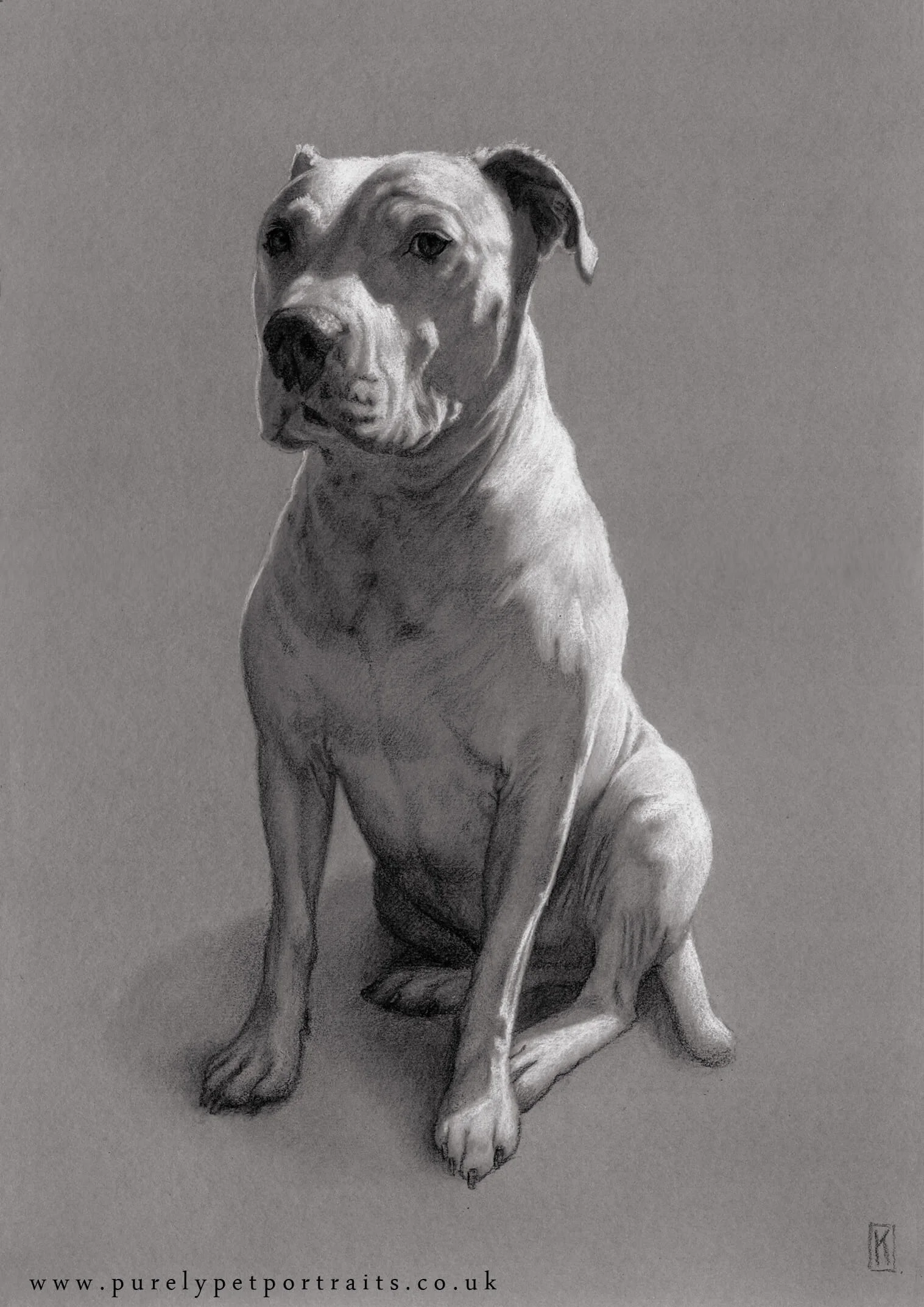 Portrait of Boycee