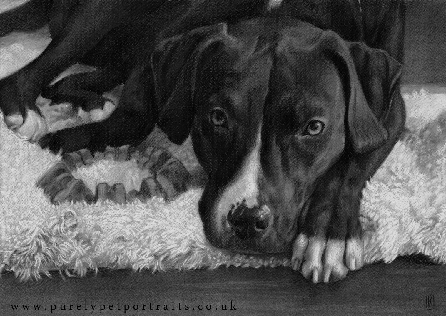 Portrait of Riley