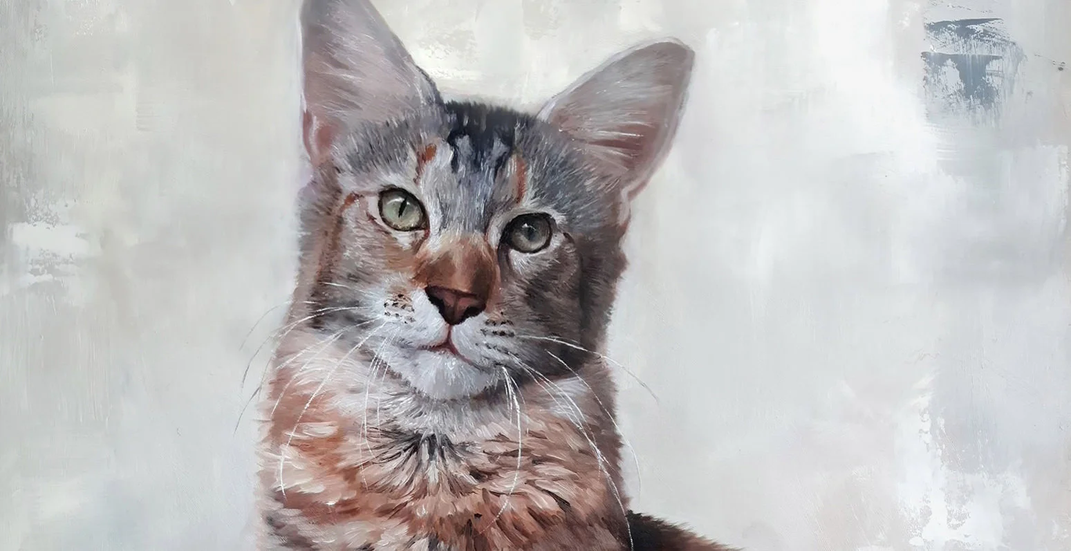 lilly-cat-parallax_mini.jpg