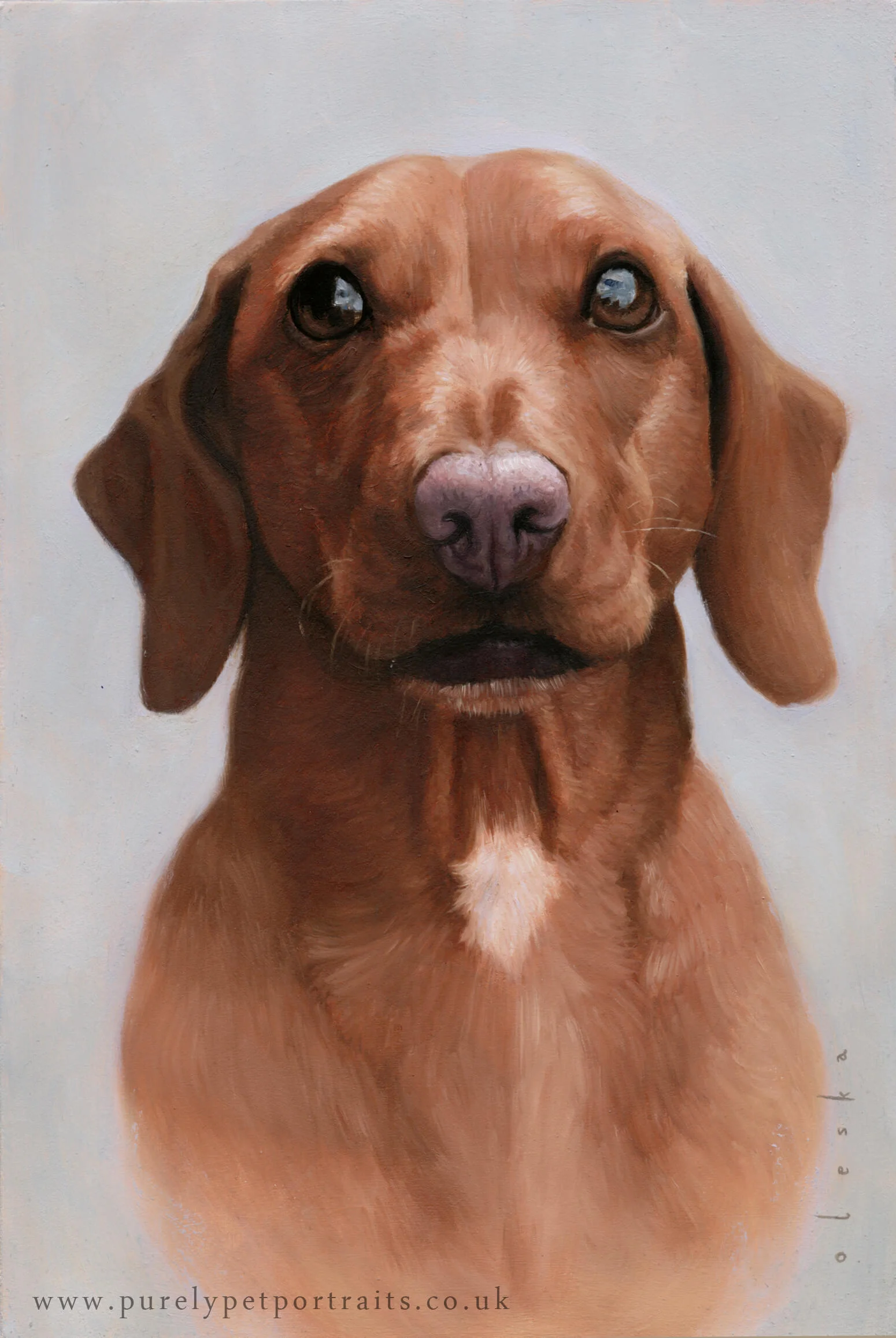 Portrait of Barnaby