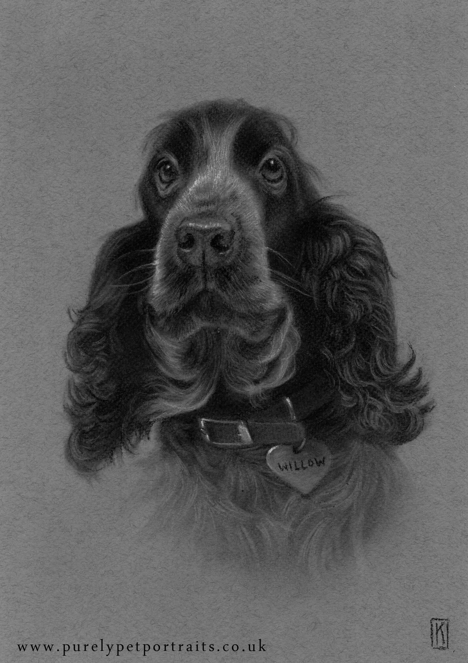 Portrait of Willow
