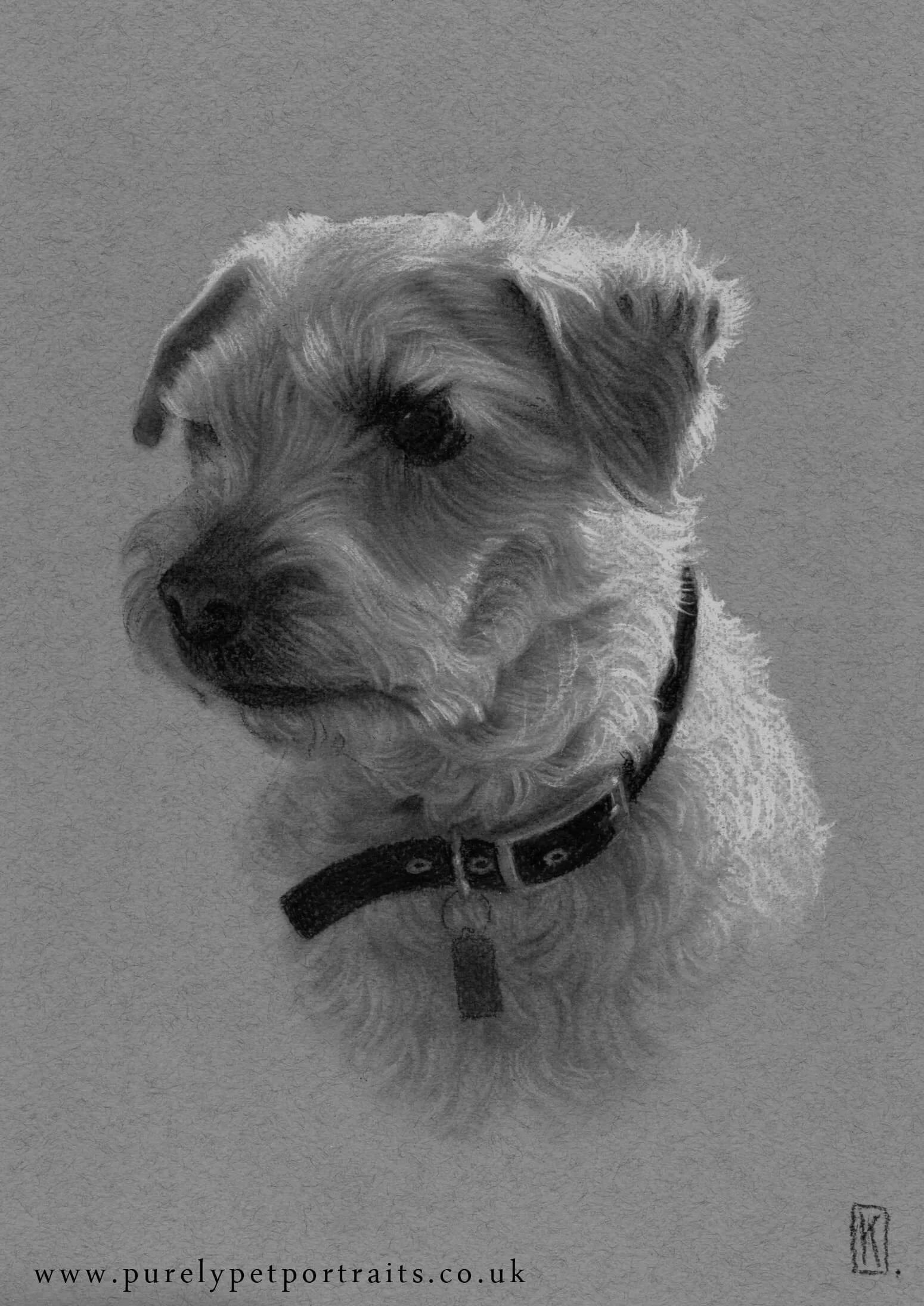 portrait of Rusty by www.purelypetportraits.co.uk