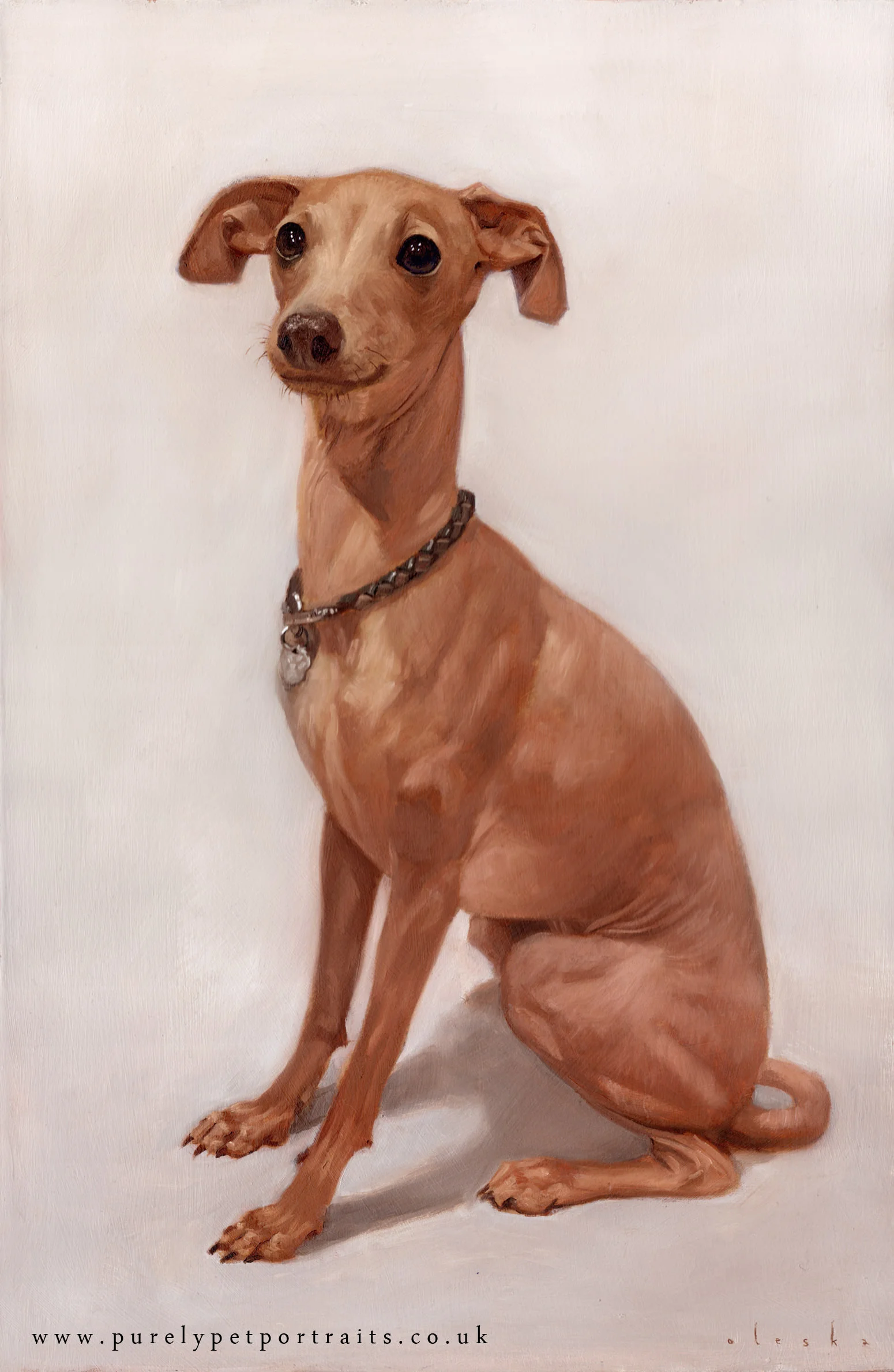 dog-portrait-of-nutmeg.JPG