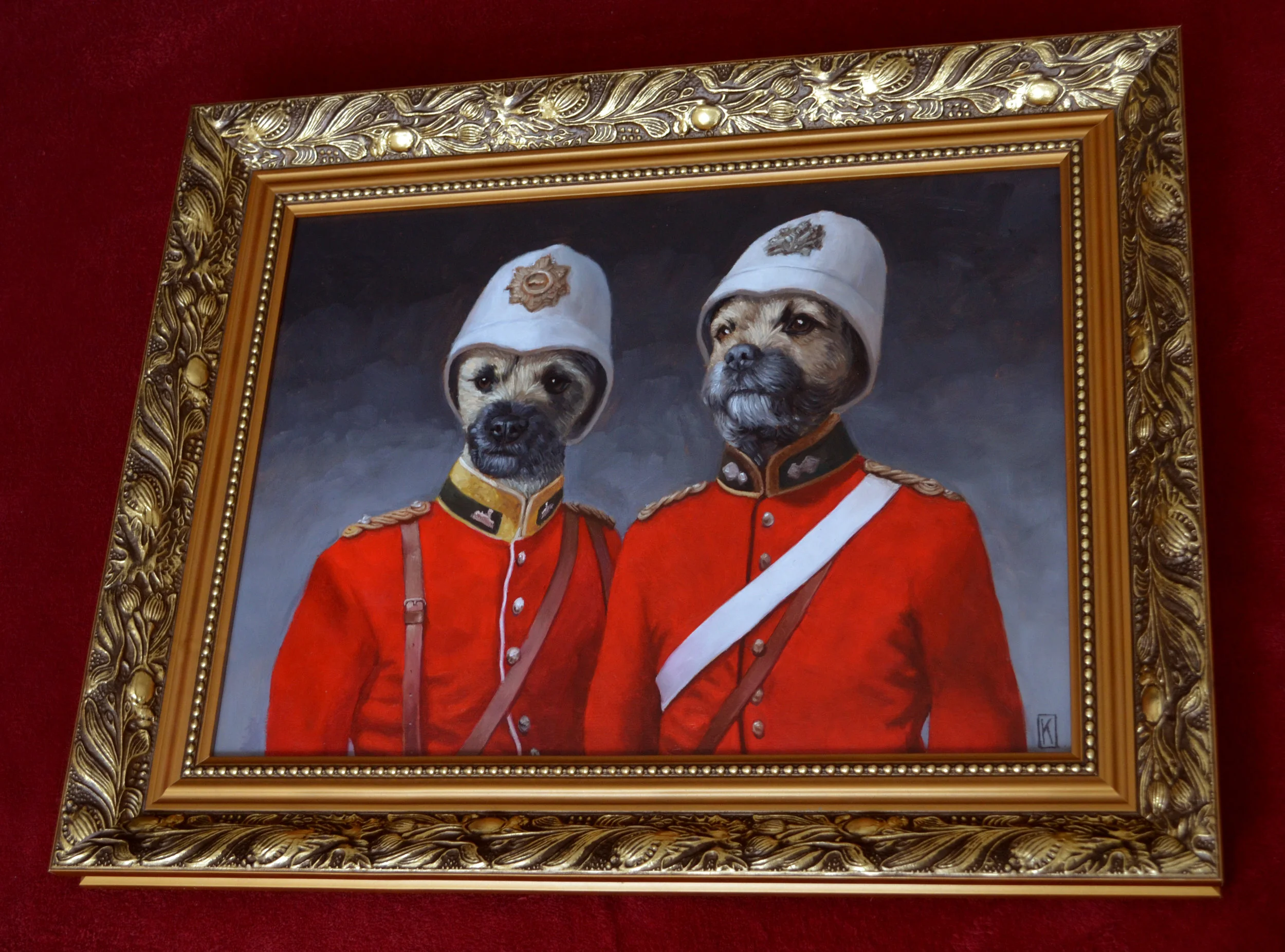 Update - Lille, Baxter and Ziggy