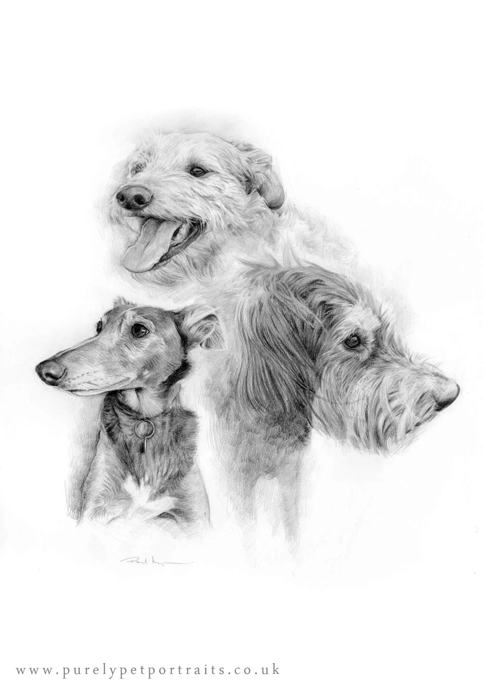 Toby Indy and Honey.jpg