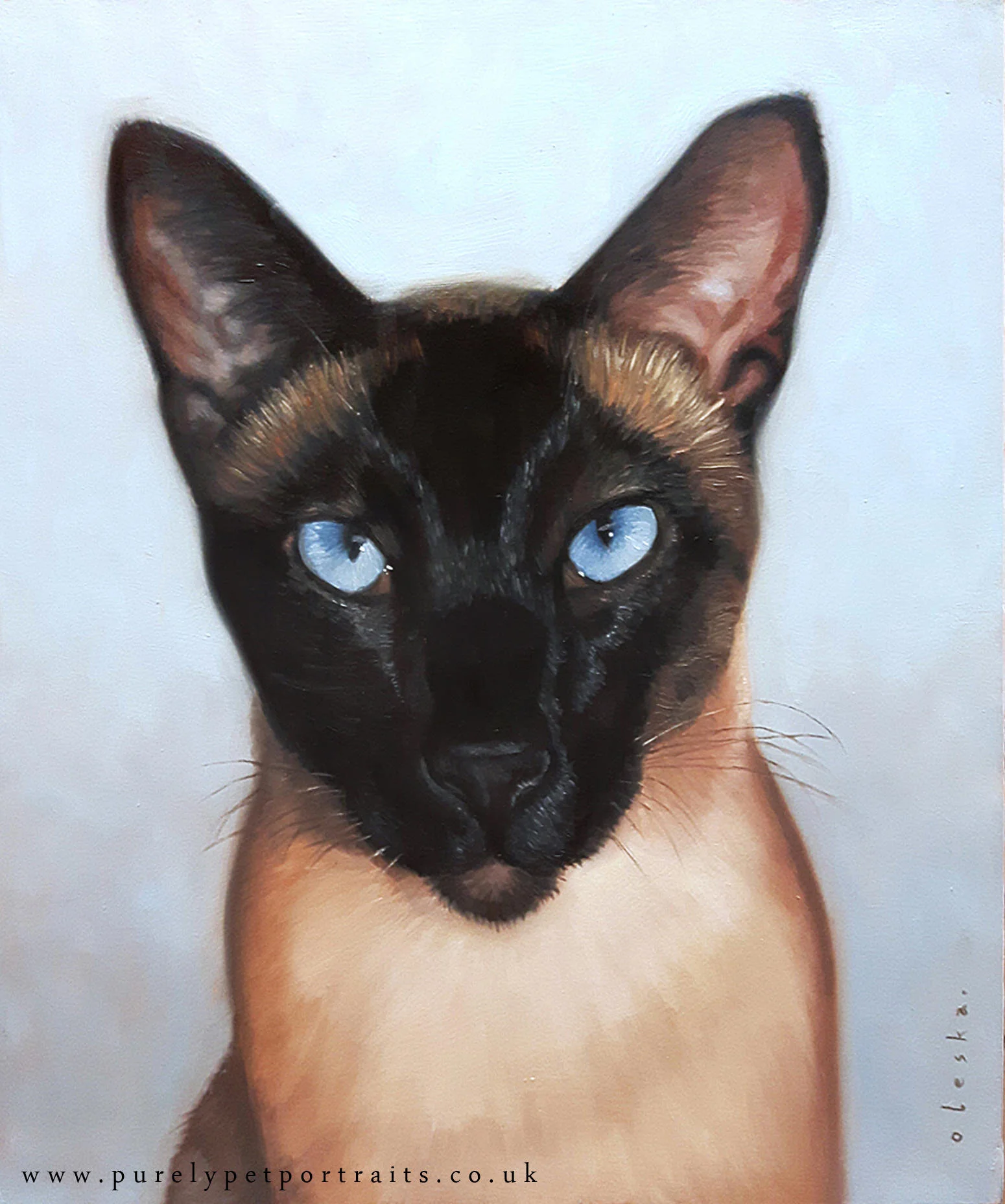 cat-portrait-of-casey.jpg