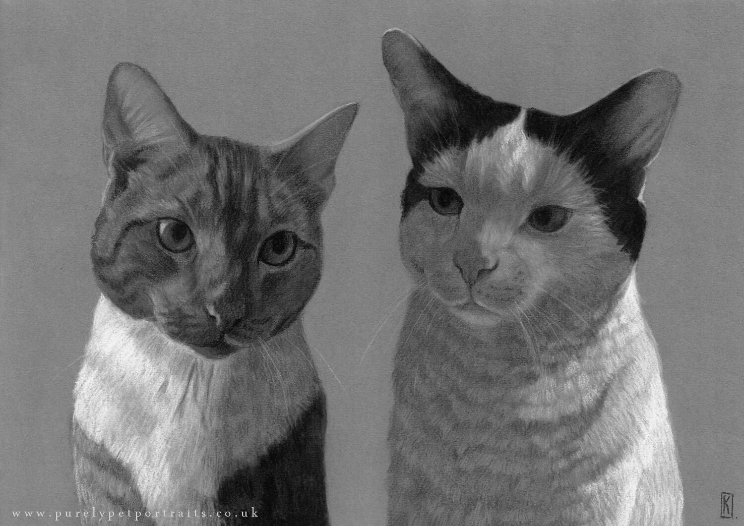 biscuit-and-cracker-portrait_mini.jpg