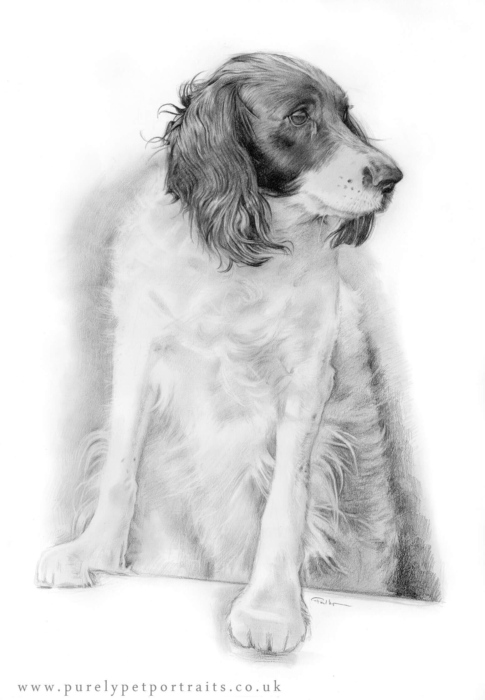Portrait of Ivy