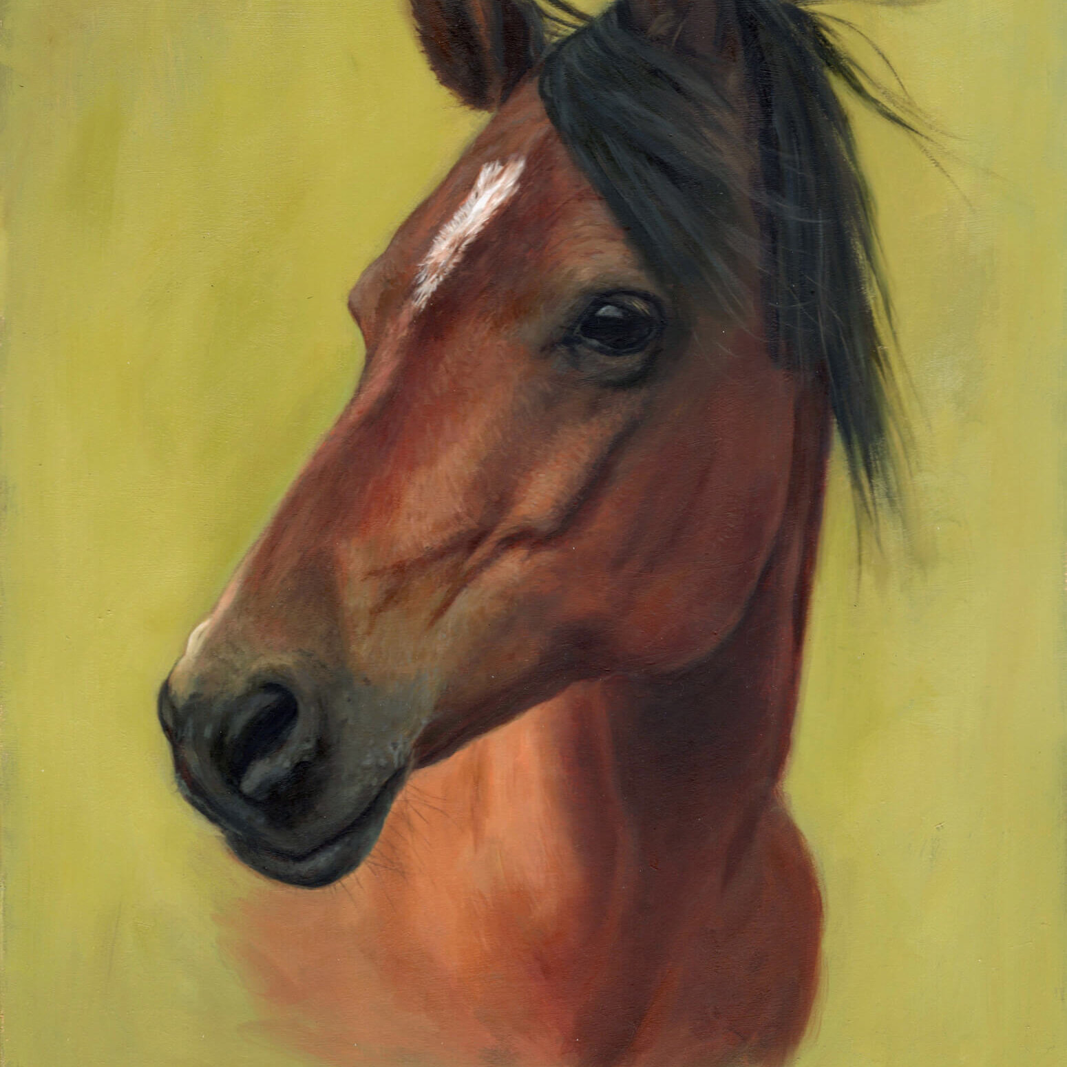 Portraits of Tink and Wynn&amp;Rocky