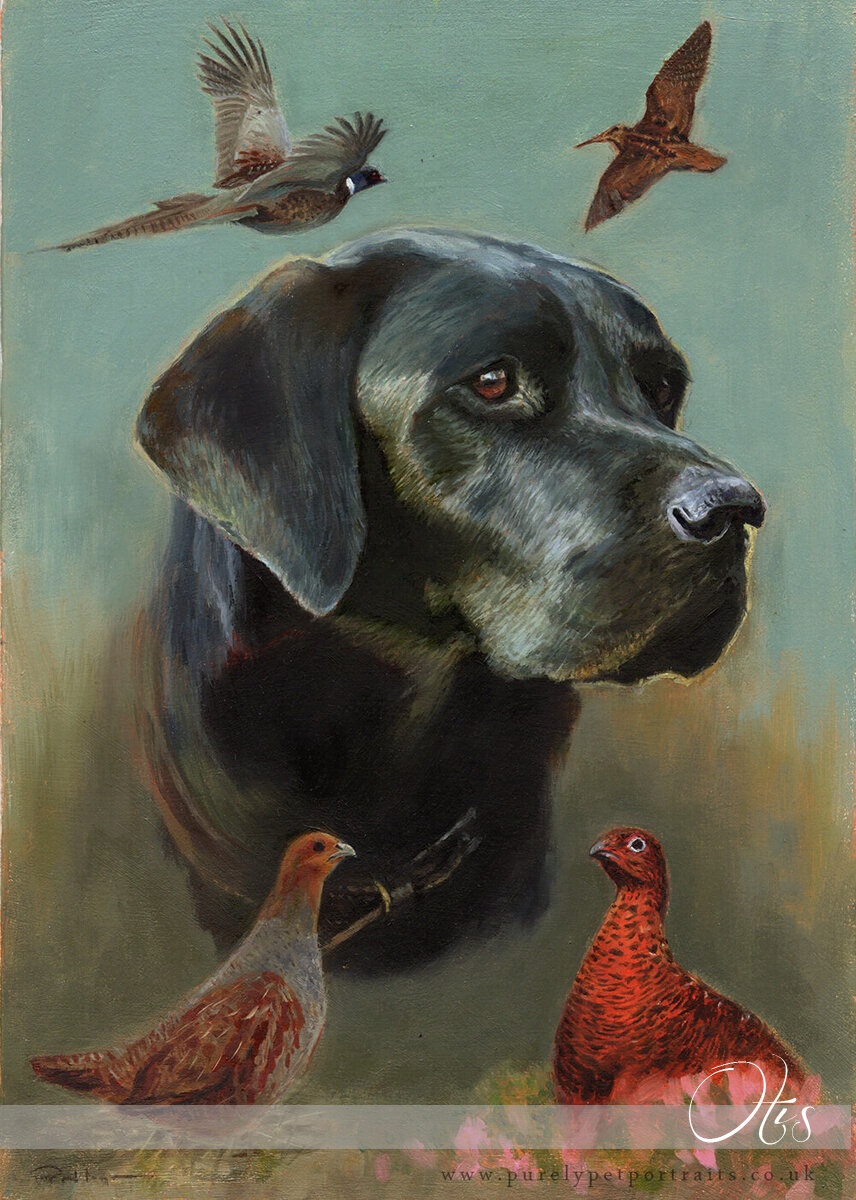 potrait of a black lab with birds Otis.jpg