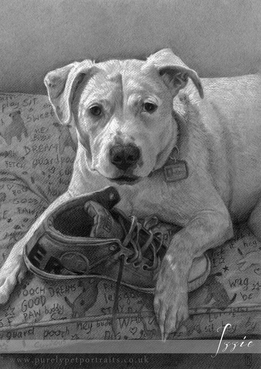 Portrait of a white dog with a shoe Izzie.jpg