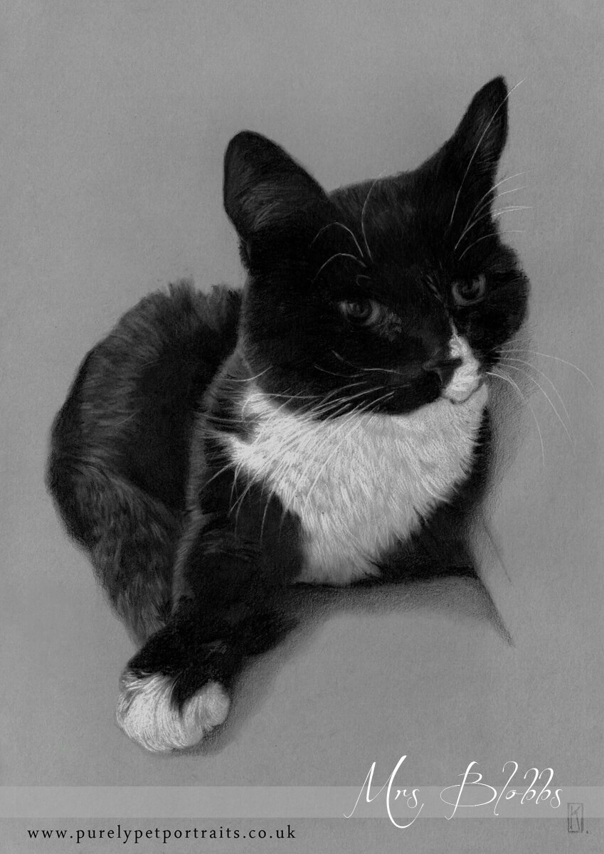 portrait of a cat Mrs Blobbs.JPG