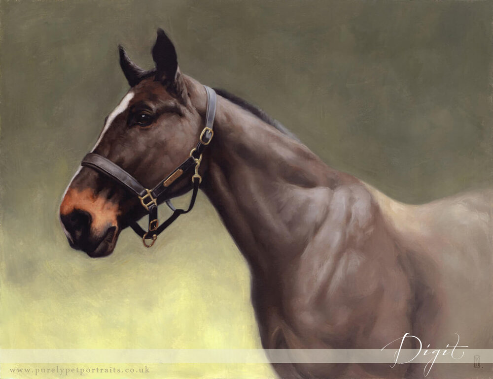 Portrait of a brown horse in oils - Digit.jpg
