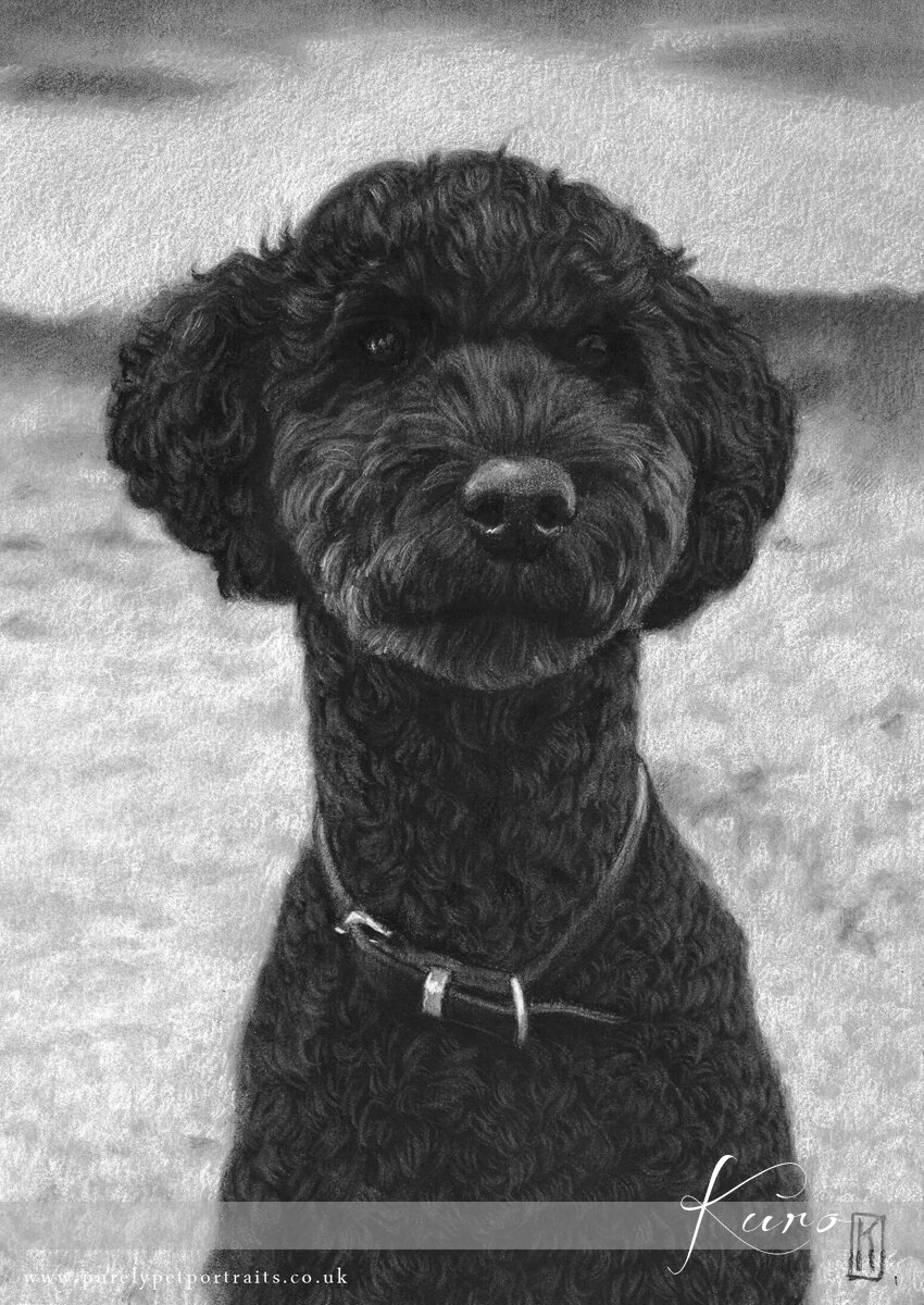 Portrait of a black dog Kuro.jpg