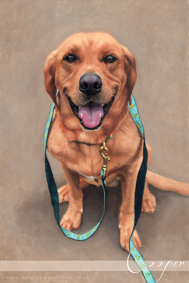 portrait painting of a dog Cooper.jpg
