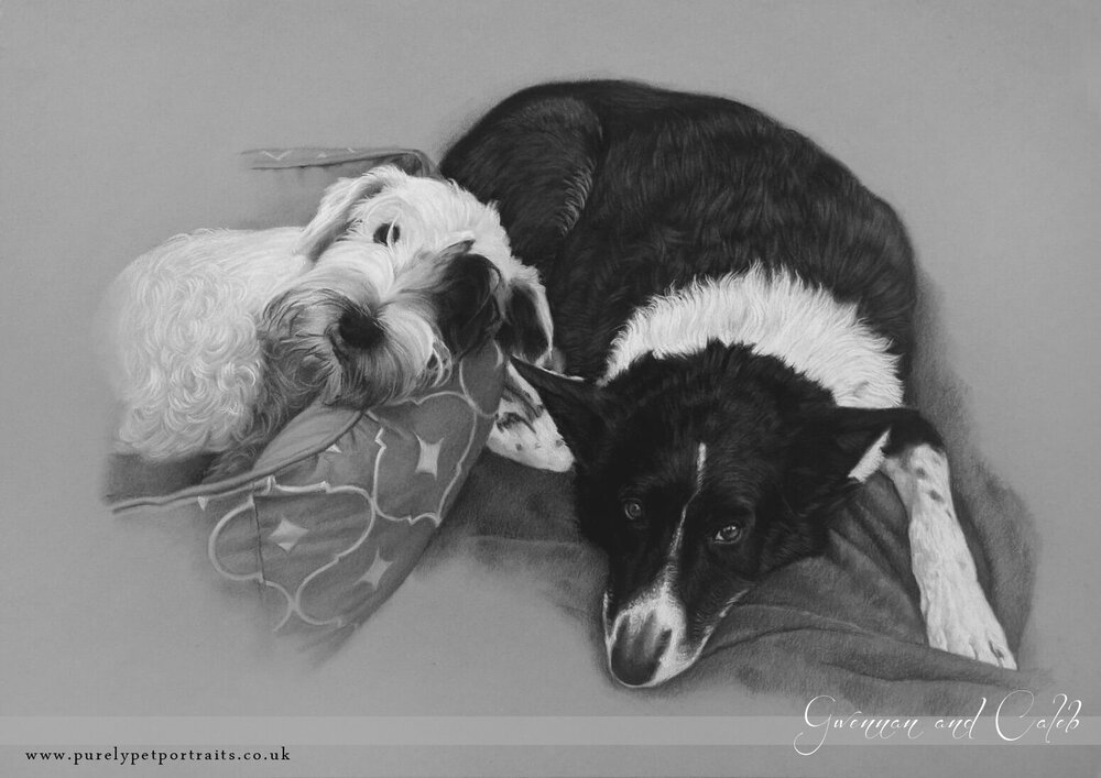 portrait of two dogs Gwennan and Caleb.jpg