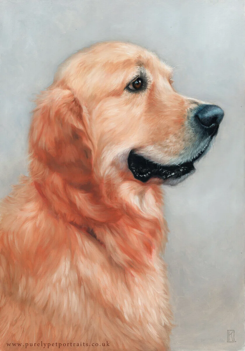 portrait of Monty.JPG