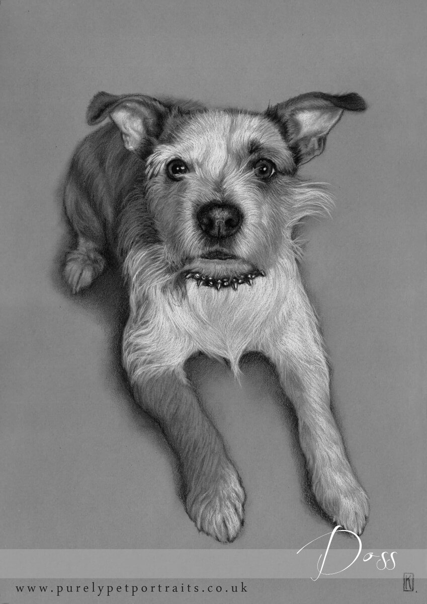 charcoal drawing of Doss.JPG