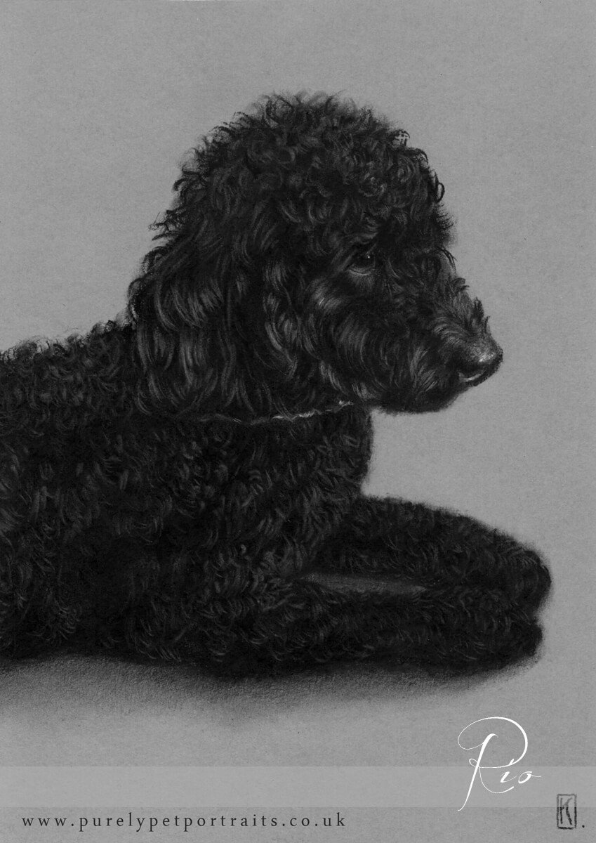 charcoal drawing of Rio.jpg