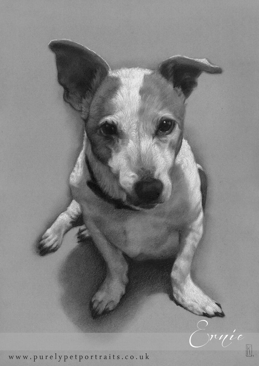 charcoal portrait of Ernie.jpg
