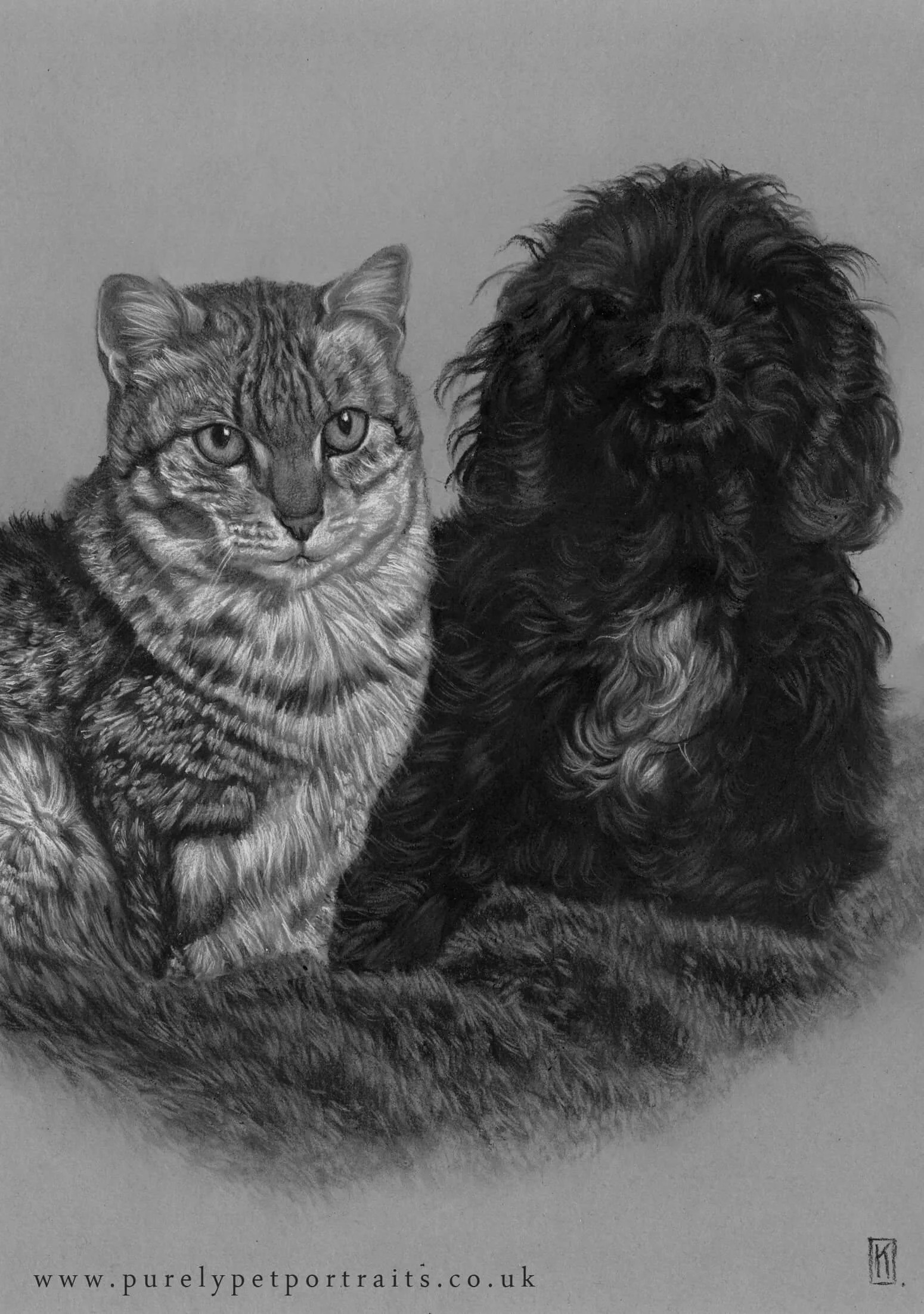 charcoal drawing of Pandora and Charley.JPG