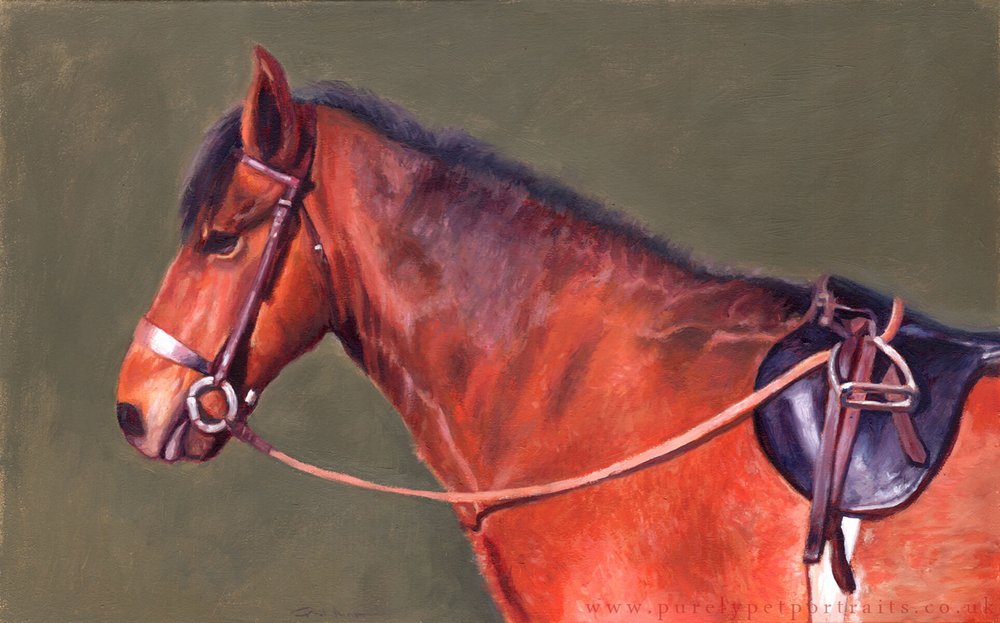 oil portrait of a horse Venny.JPG