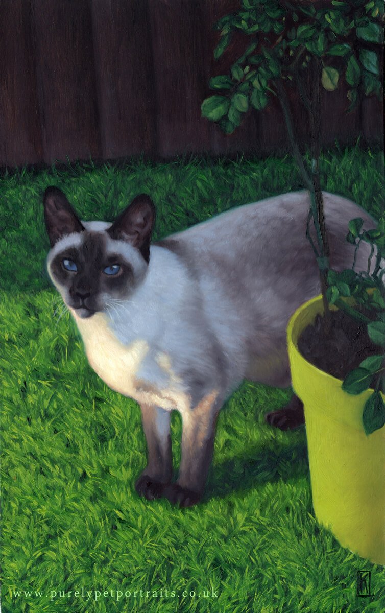 oil portrait of a cat called Poppy.jpg