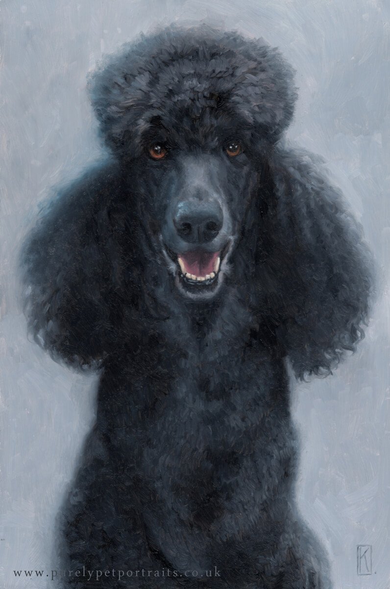 Portrait of a dog called Greggy.jpg