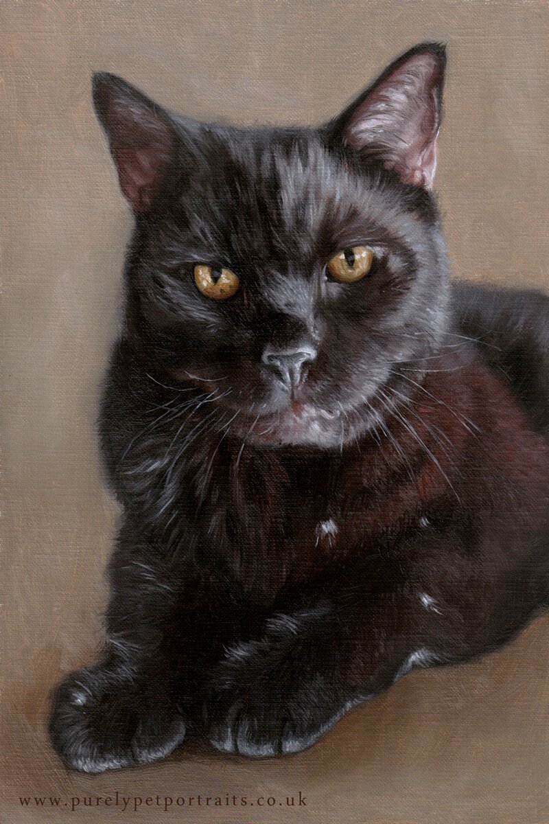 oil portrait of a cat called Dexter.JPG