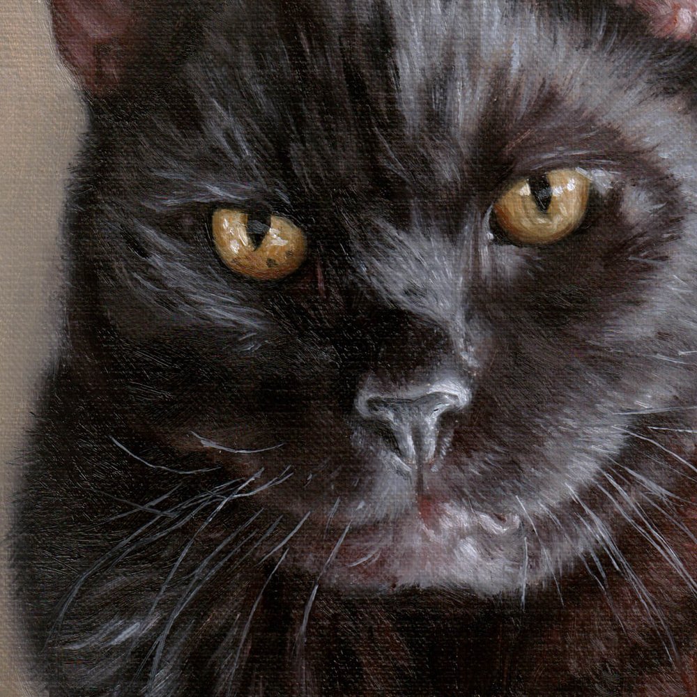 portrait of Dexter detail.JPG