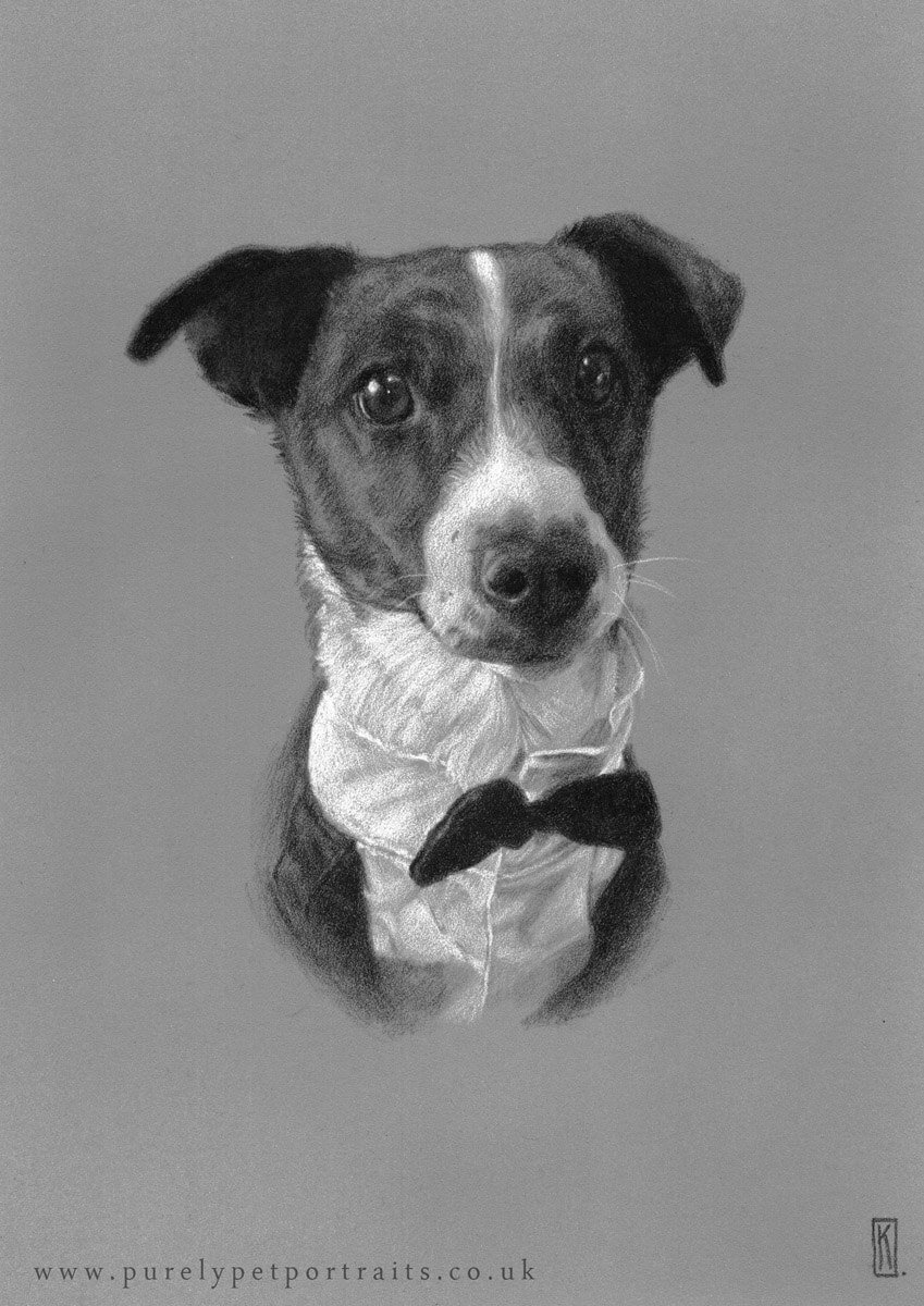 charcoal portrait of dog Joey.jpg