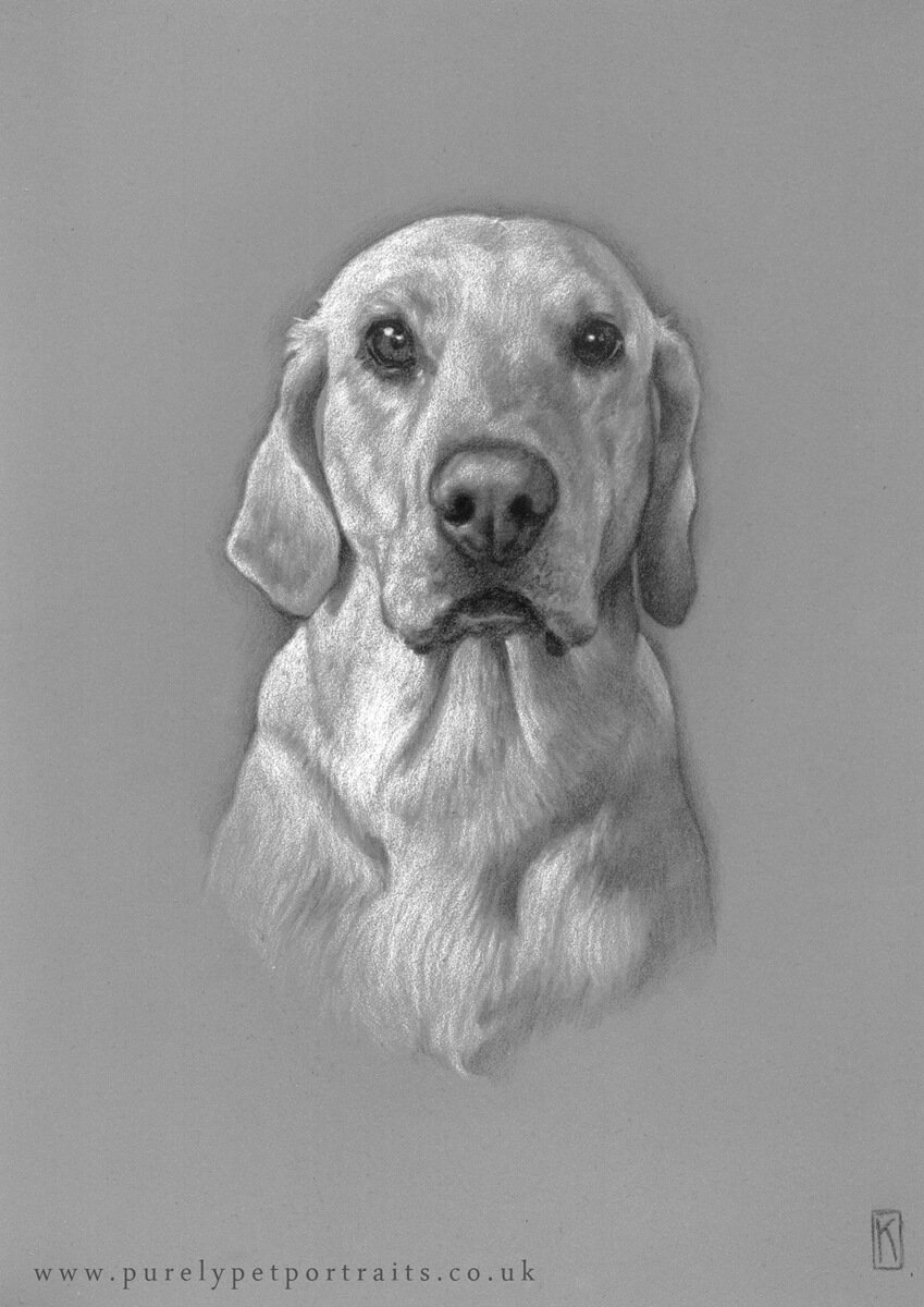 czarcoal portrait of dog Milton.jpg