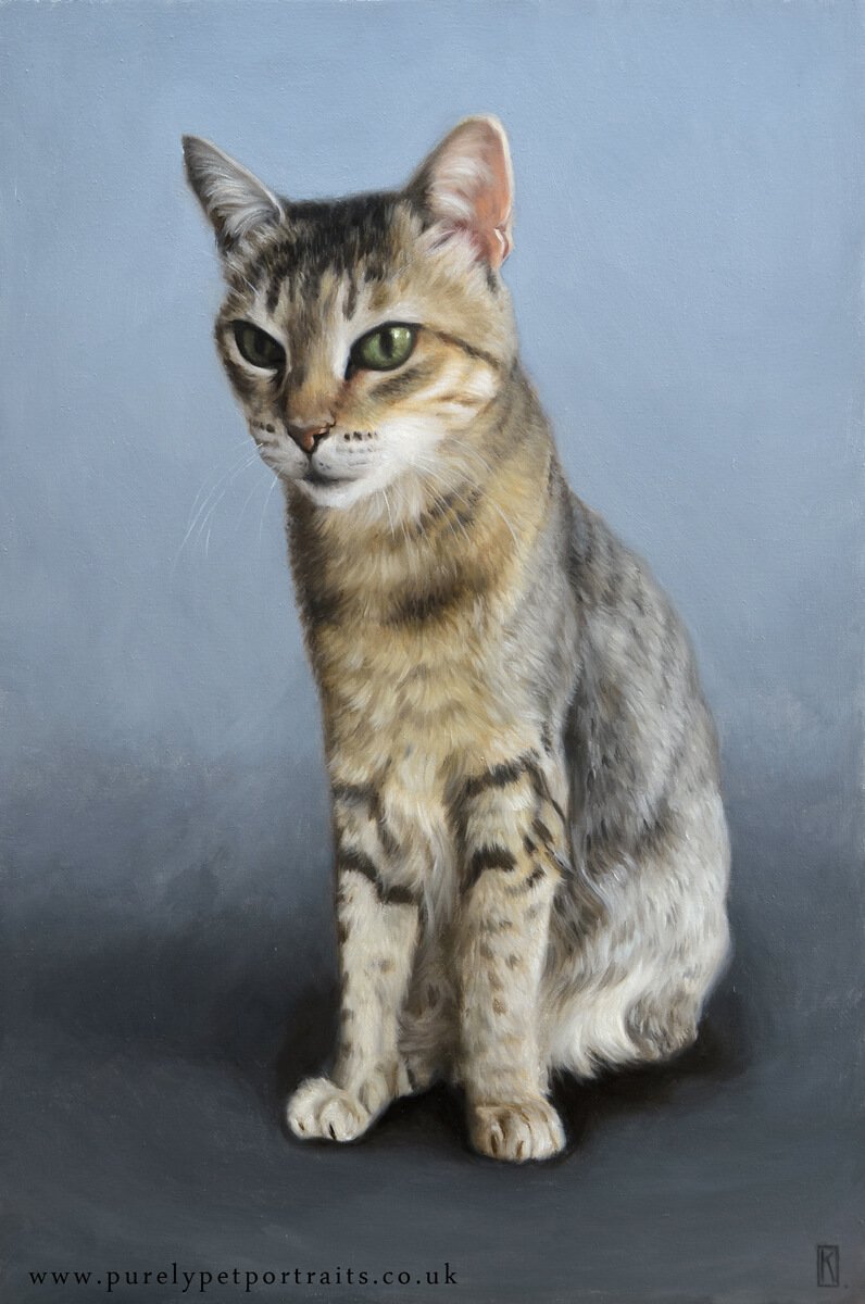 oil portrait of a cat.jpg