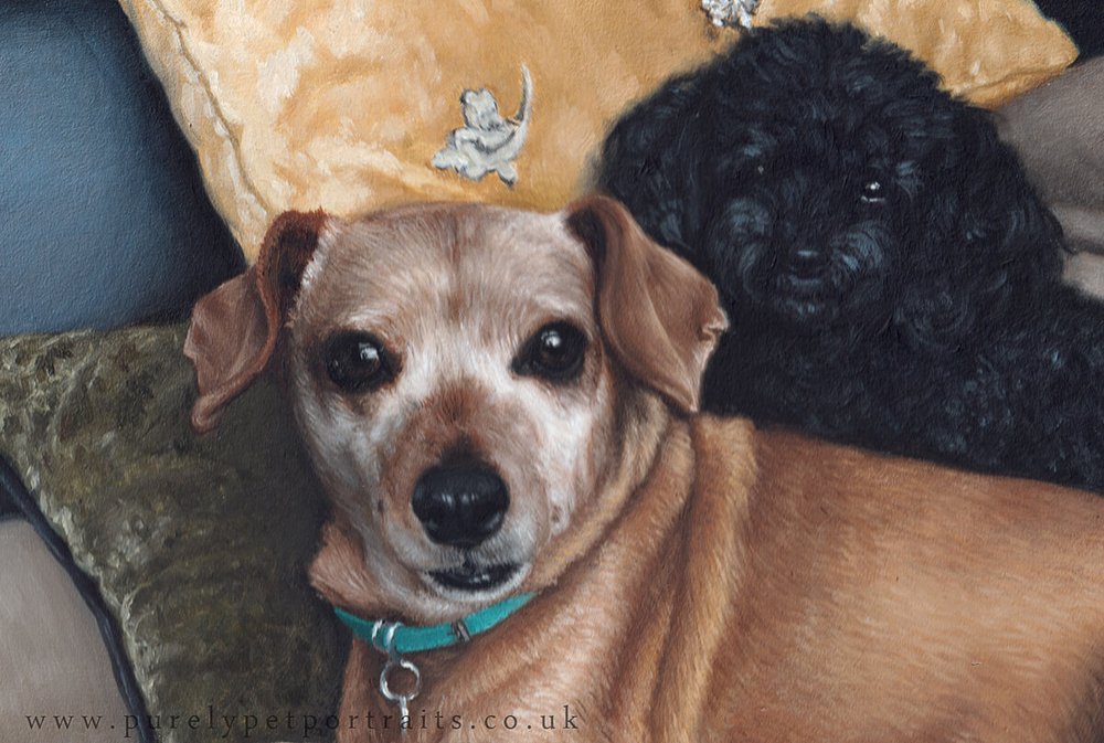 portrait of 2 dogs detail.JPG