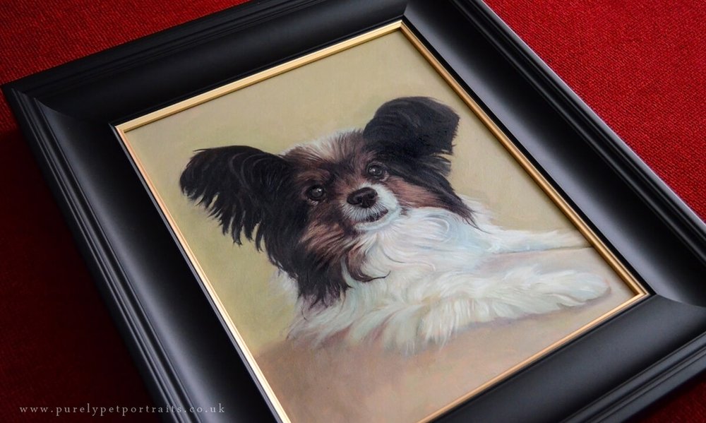 oil portrait of Nibbles in a frame.JPG