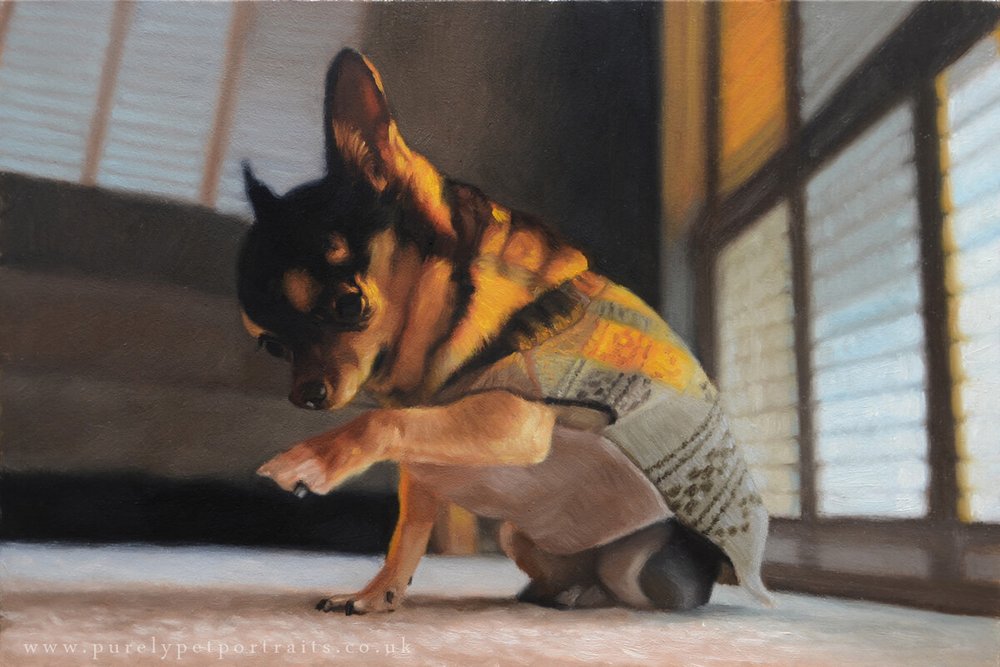 oil portrait of dog Alfie.jpg