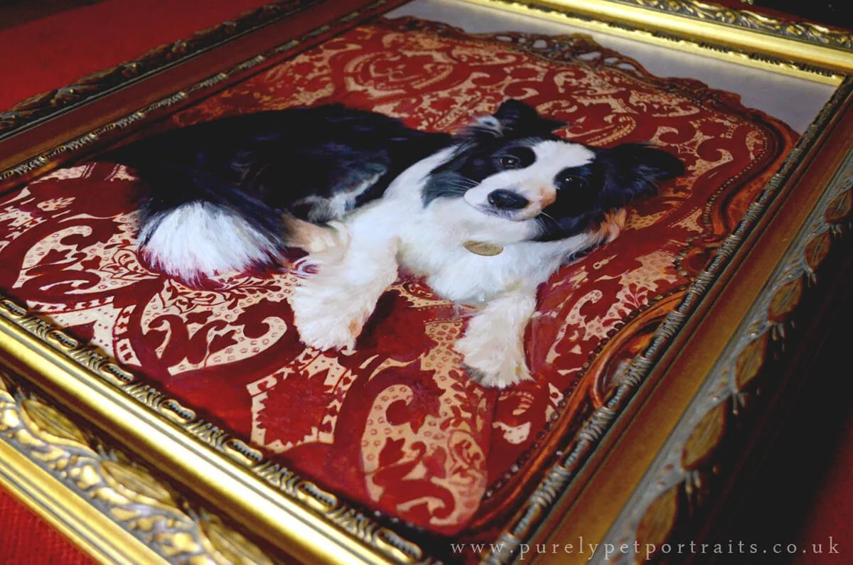 Rosie in a frame.JPG